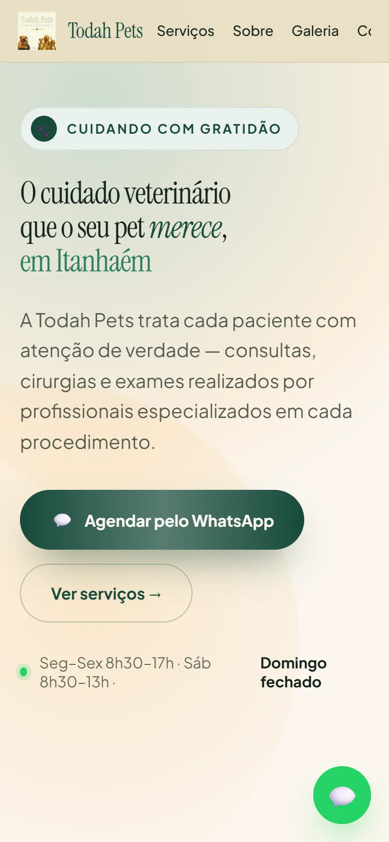 O mesmo site, na tela do celular